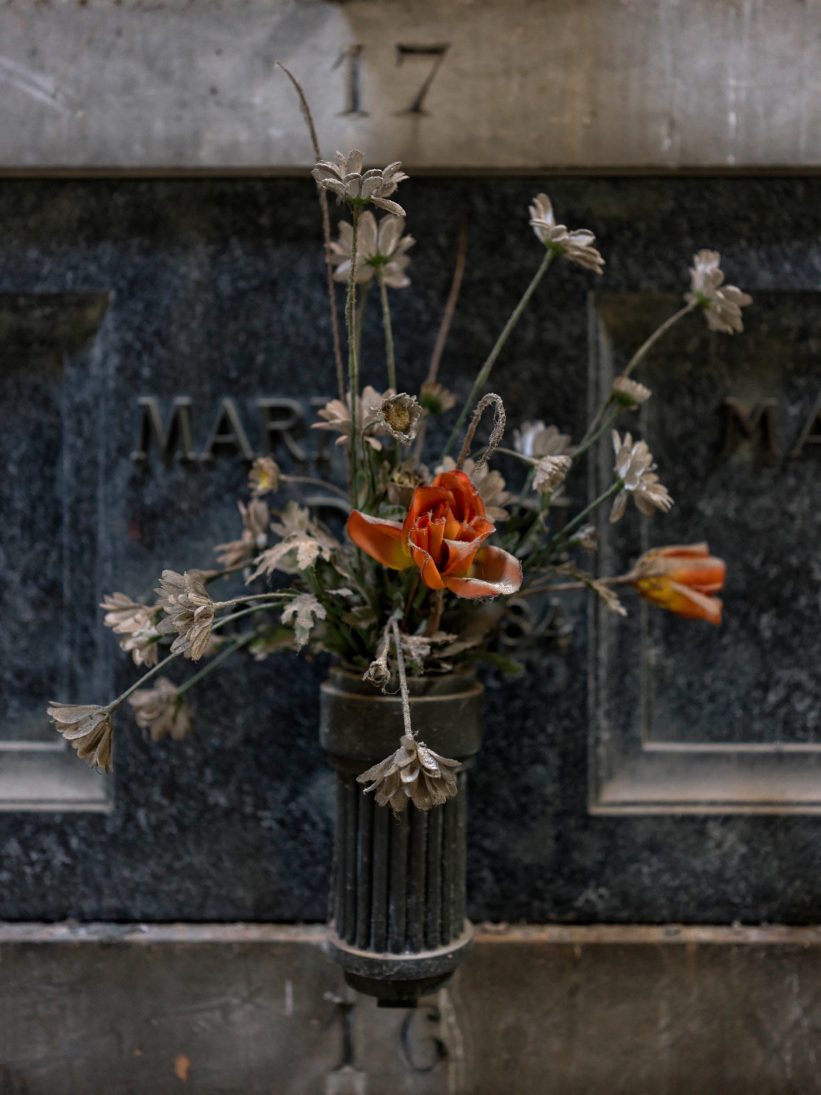 Steven Seidenberg 12